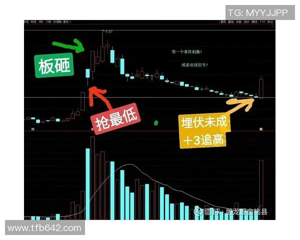 广州乒乓球队与深圳乒乓球队赛后复盘分析比赛节奏与战术对比
